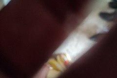 thumbs_IMG_20230402_121641-1