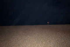 IMG-20230201-WA0101